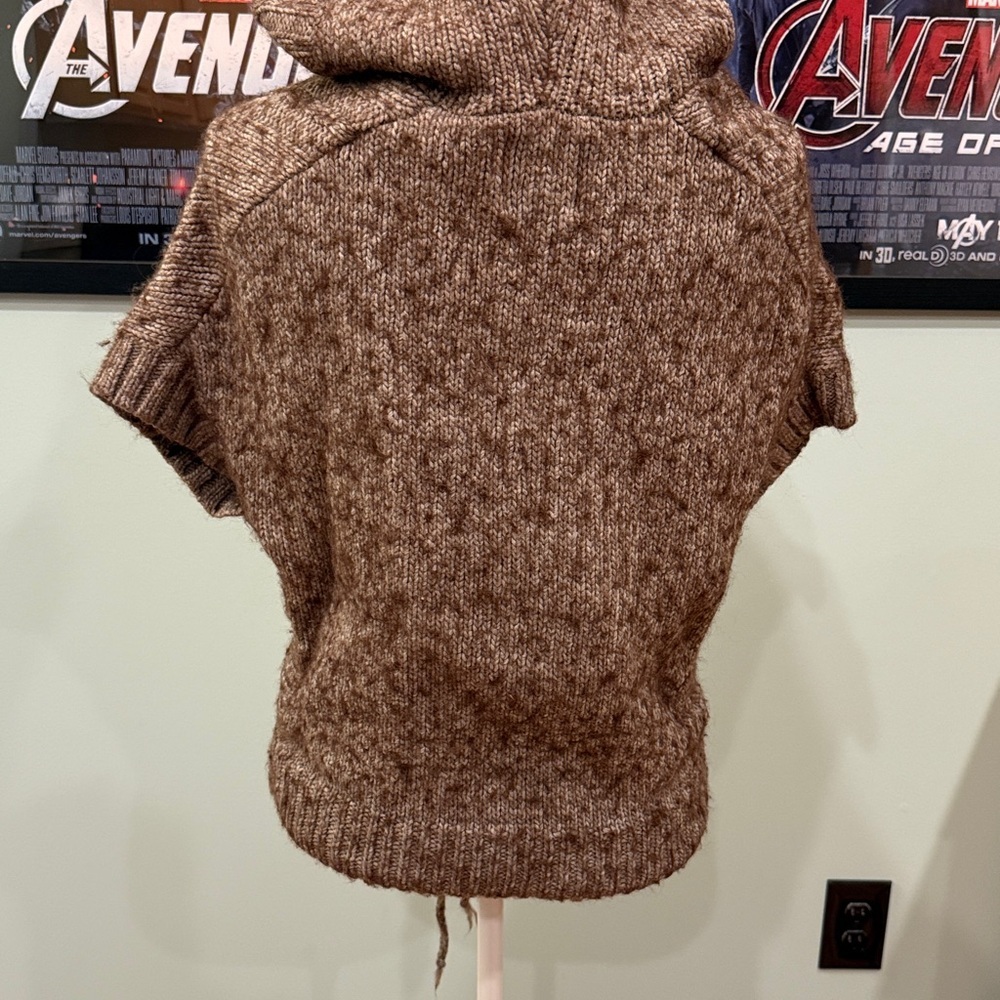 American Eagle Outfitters hooded sweater - Picture 3 of 6